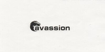 Cavassion