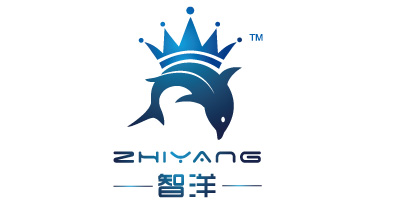 智洋（ZHIYANG）