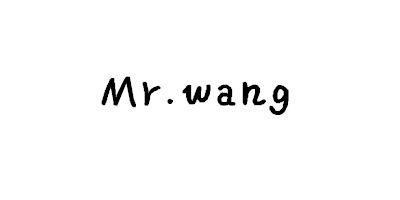 王先森（Mr.wang）