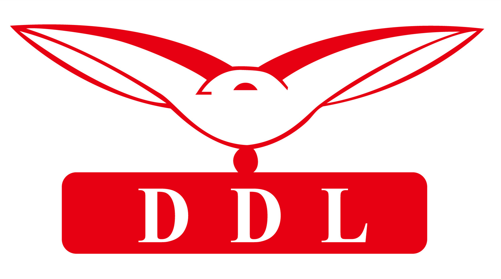 DDL