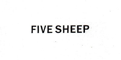 FIVE SHEEP