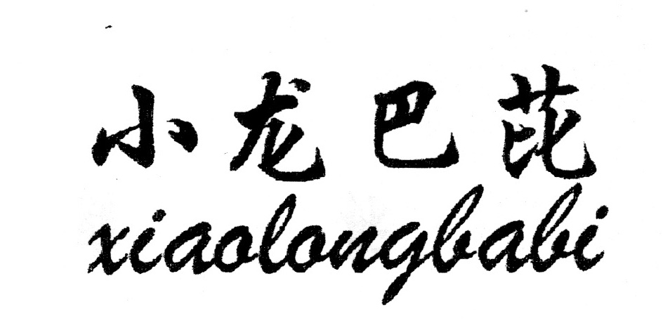 小龙巴芘（xiaolongbabi）