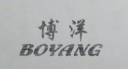 博洋（boyang）