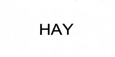 HAY