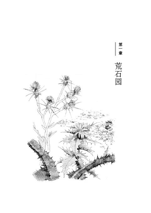 第一章 荒石园(1)