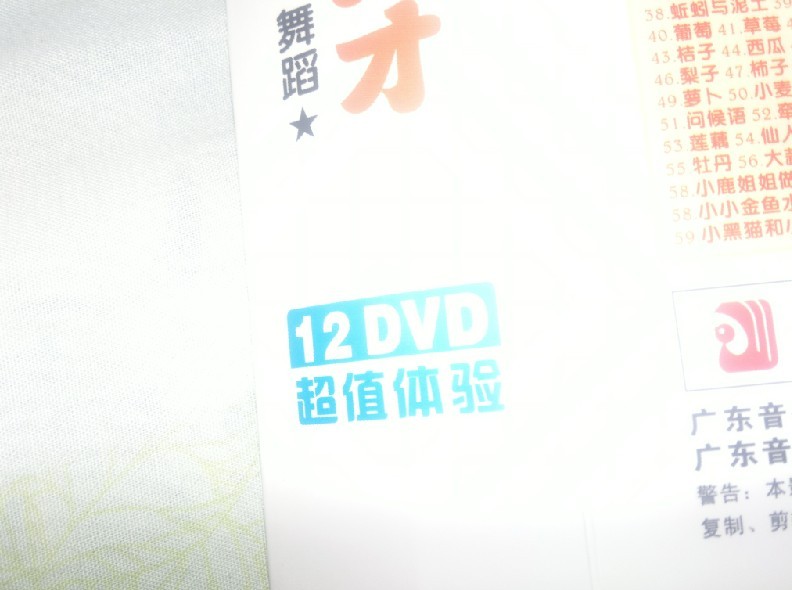 儿童启蒙必备：全能小天才（12DVD）（京东专卖） 实拍图