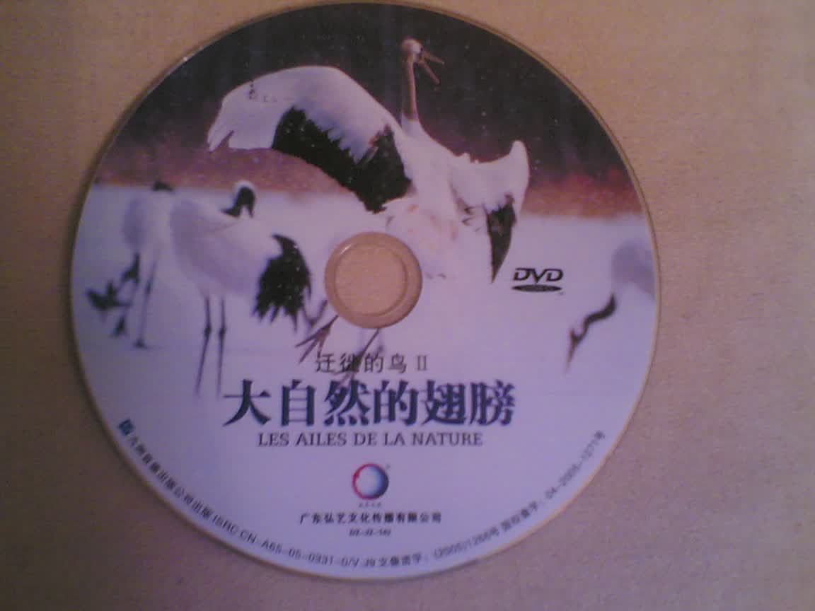 天才宝宝欢乐园（15DVD）（豪华珍藏版）（京东专卖） 实拍图