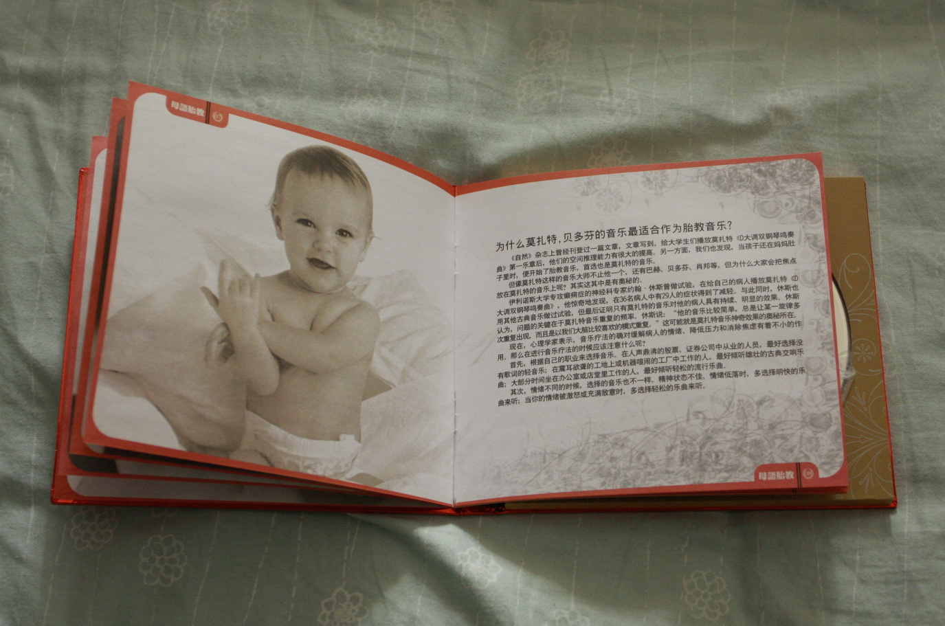母语胎教1：天才的摇篮母语胎教特效版（典藏）（2CD） 晒单实拍图