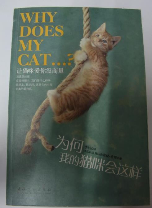 为何我的猫咪会这样 实拍图