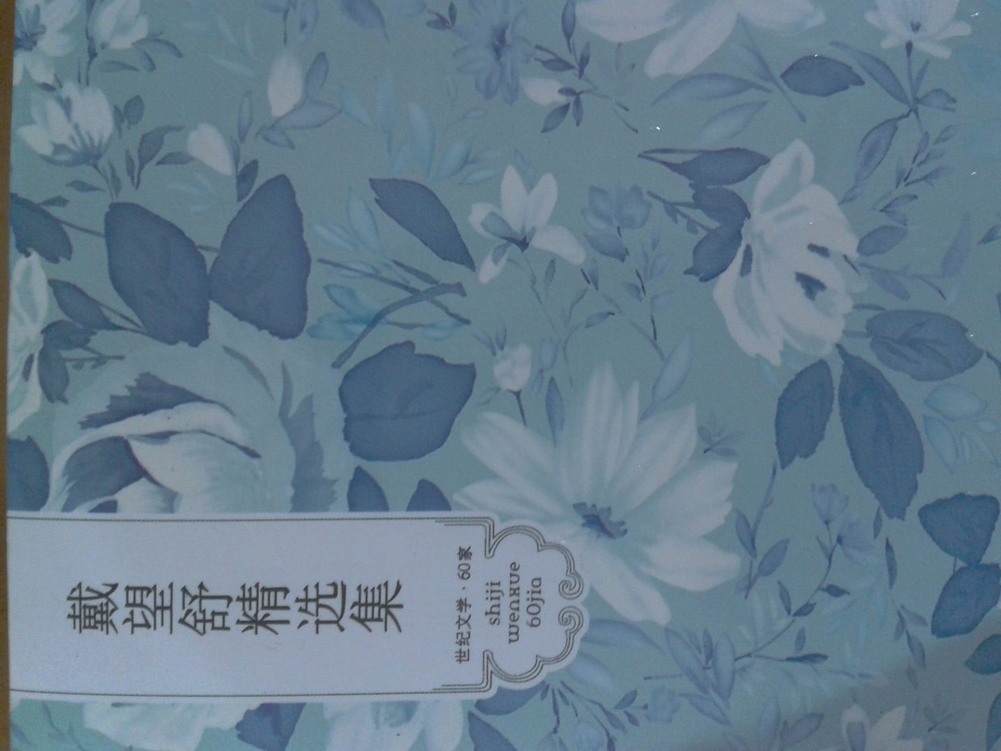 世纪文学经典·戴望舒精选集 实拍图