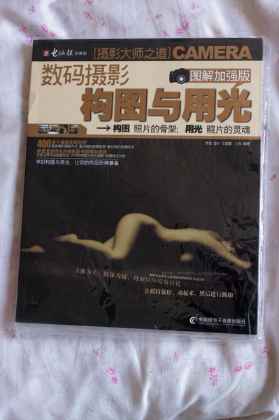数码摄影构图与用光（图解加强版）（附DVD光盘1张） 实拍图