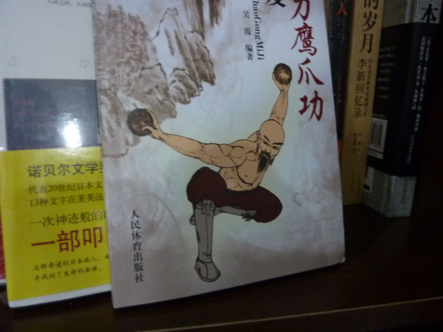 大力鹰爪功秘笈 实拍图