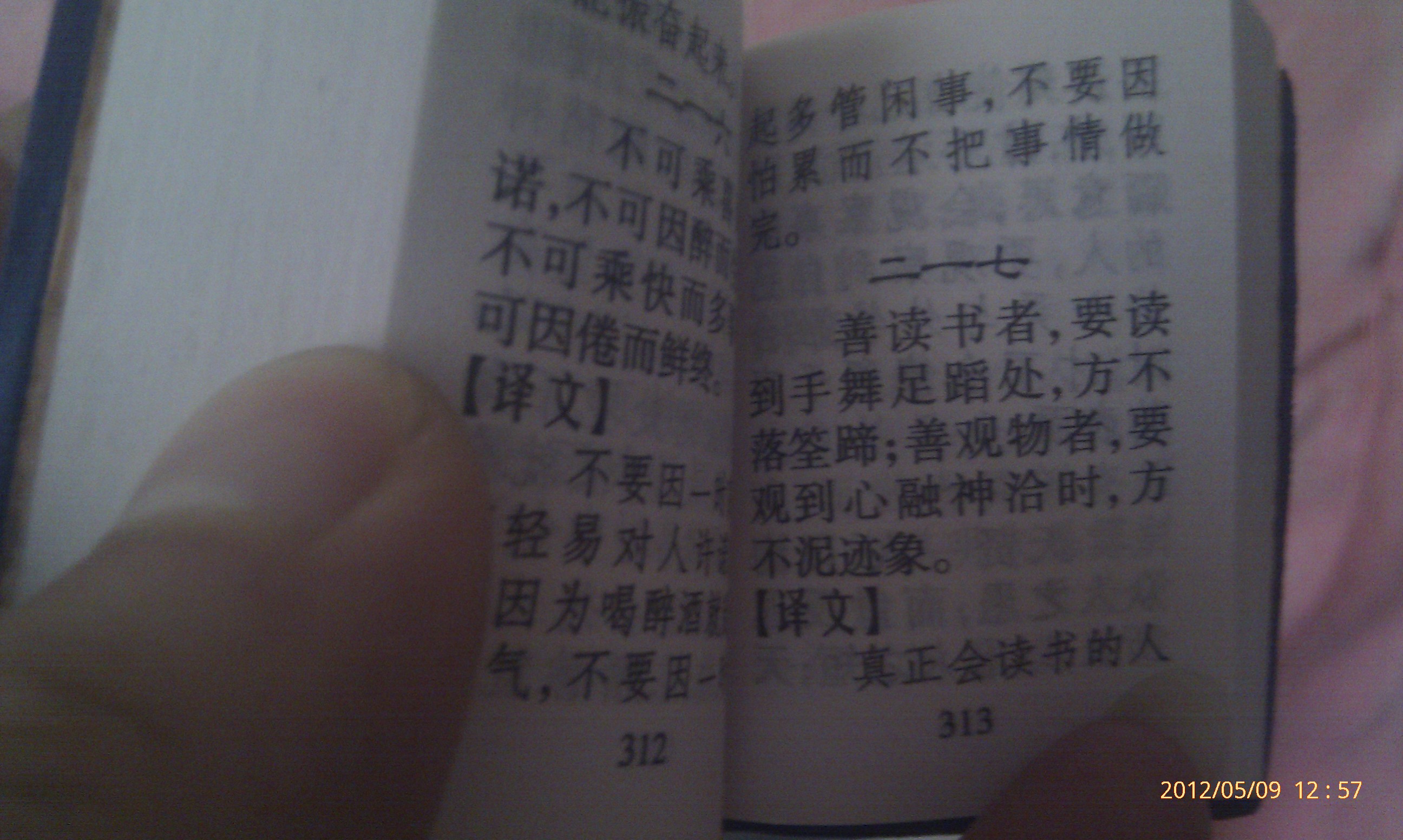 菜根谭 实拍图