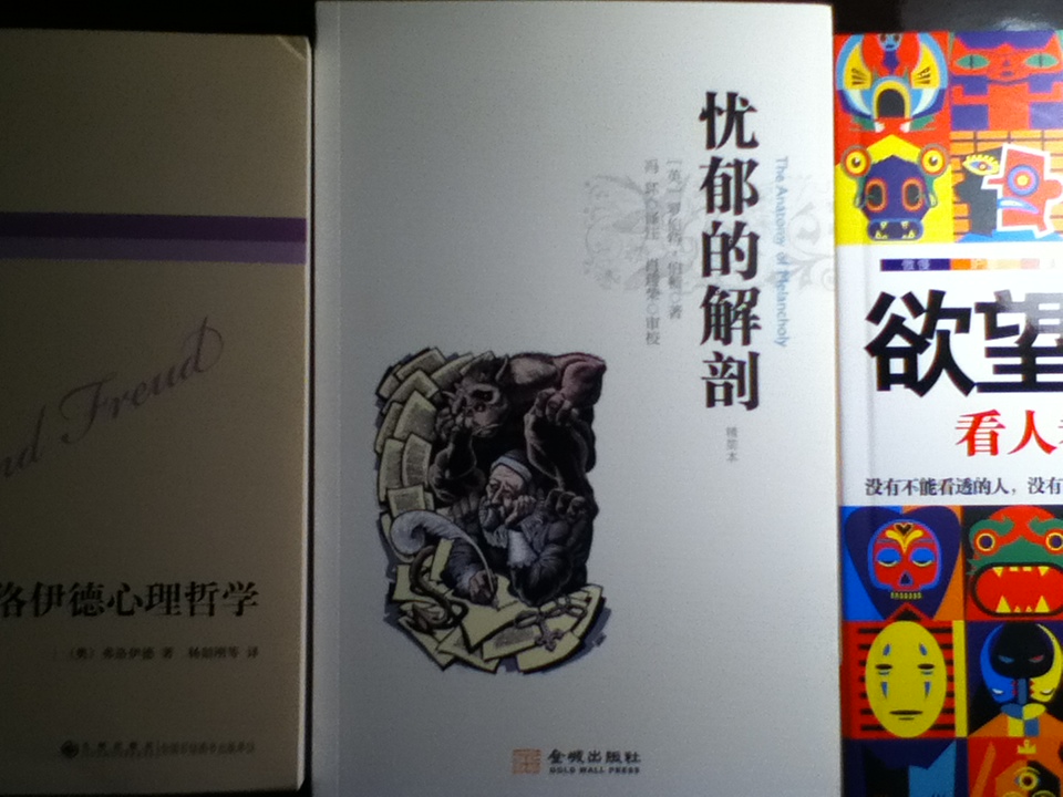 忧郁的解剖 实拍图