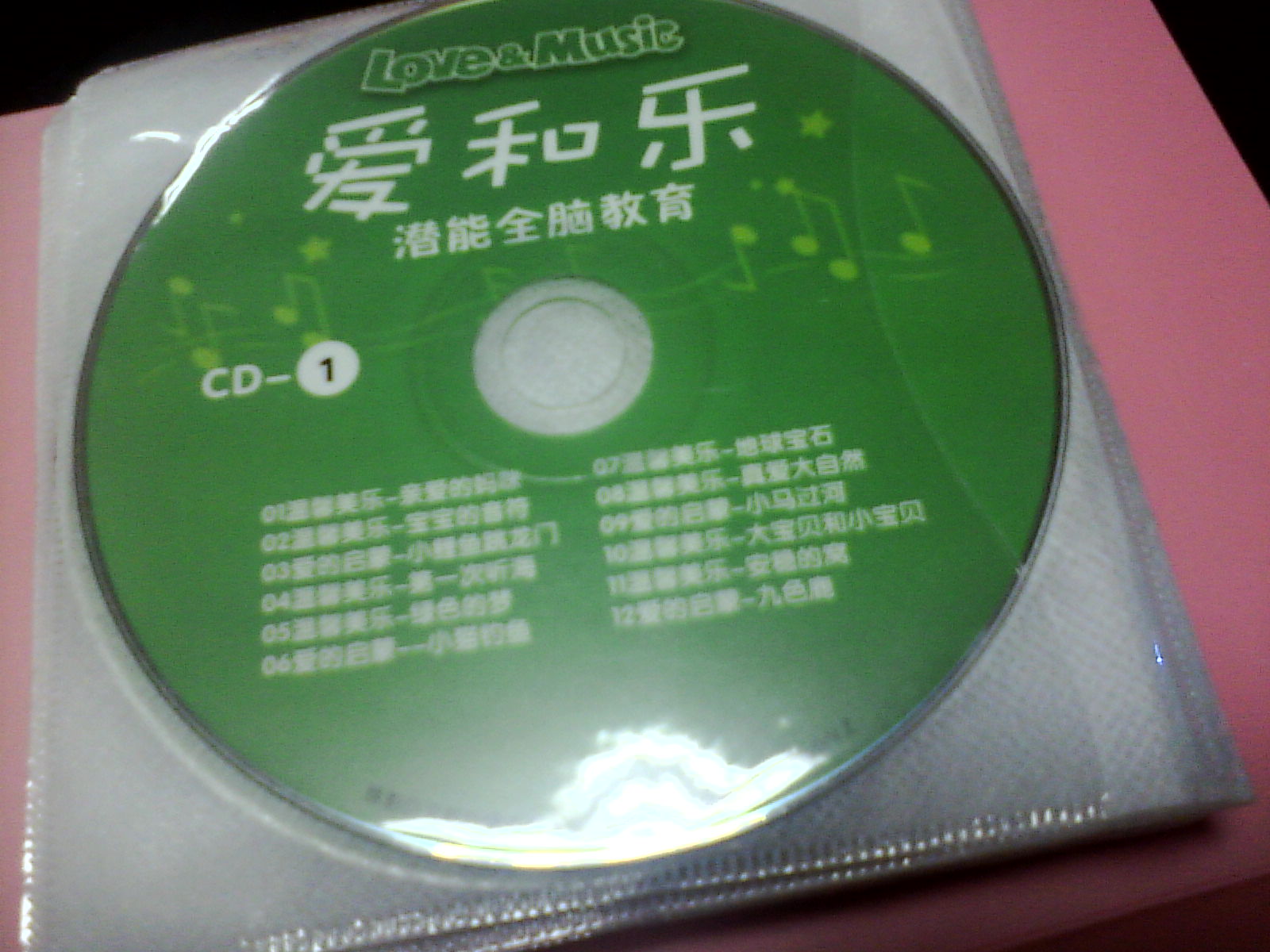 爱和乐潜能全脑教育（10CD+4DVD）（京东专卖） 实拍图