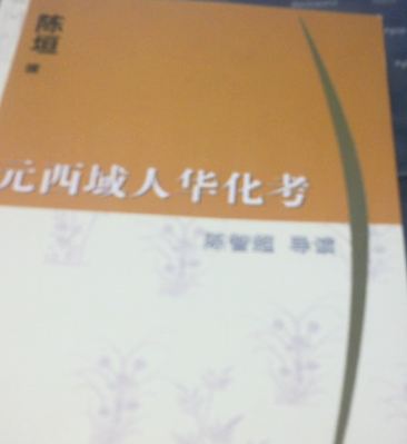 元西域人华化考 实拍图