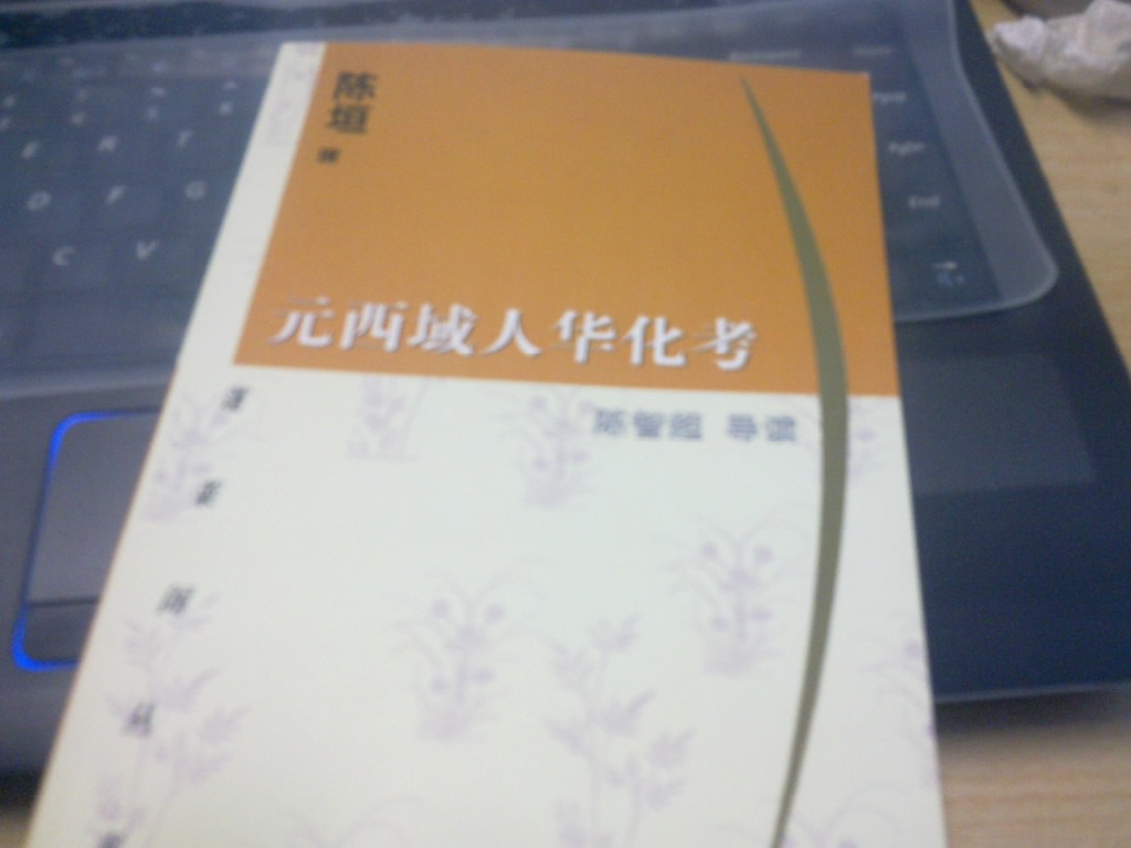 元西域人华化考 实拍图