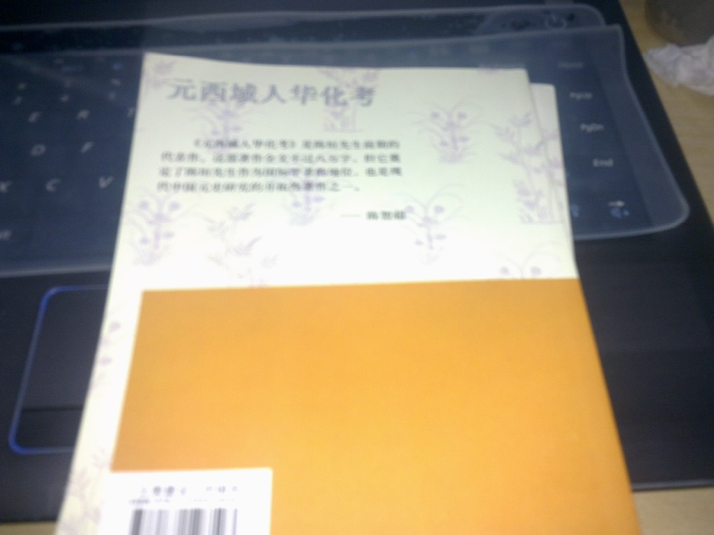 元西域人华化考 实拍图