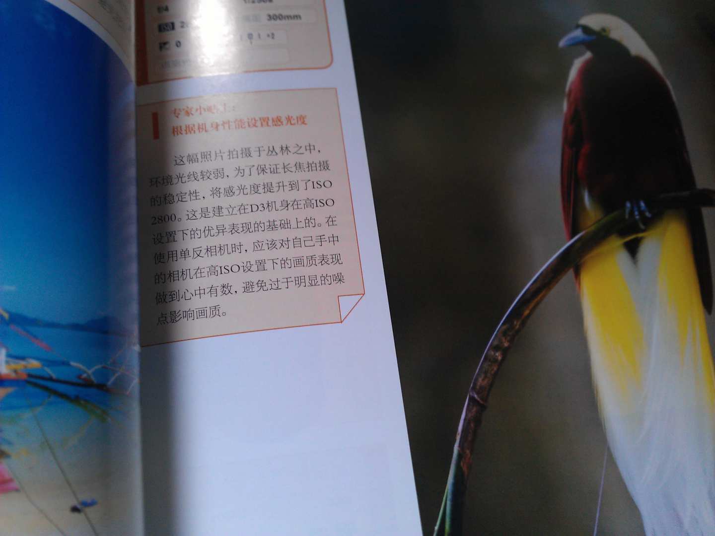 数码单反摄影完全宝典（附DVD光盘1张）（摄影客出品） 实拍图