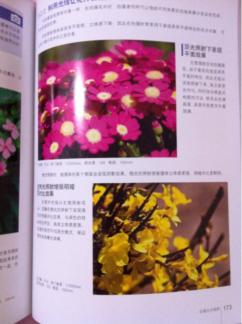 最新数码单反相机摄影手册（附CD-ROM光盘1张） 实拍图