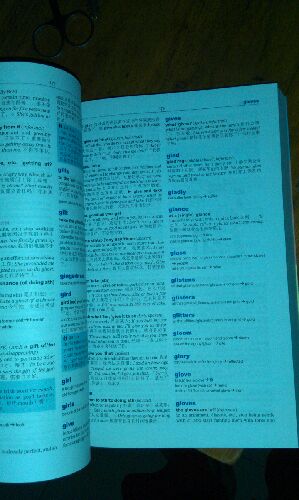 牛津英语习语词典（英汉双解版） 晒单实拍图