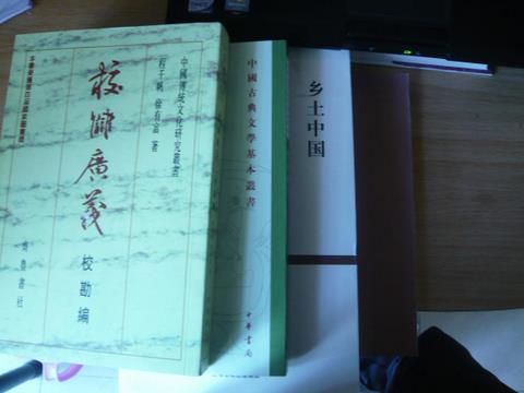 元西域人华化考 实拍图