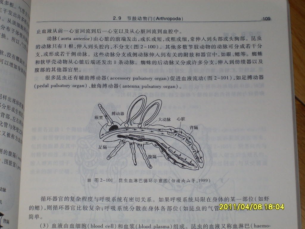 动物生物学教程（第2版）/普通高等教育“十一五”国家级规划教材 晒单实拍图