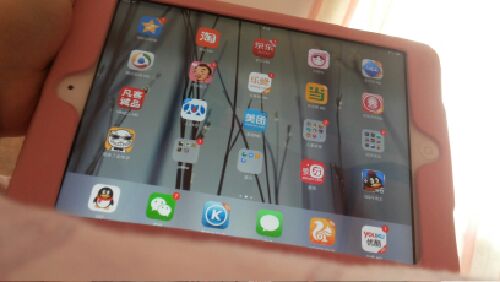 大学英语四级考试新题型王长喜英语预测试卷（备战2014年6月）（附光盘） 实拍图