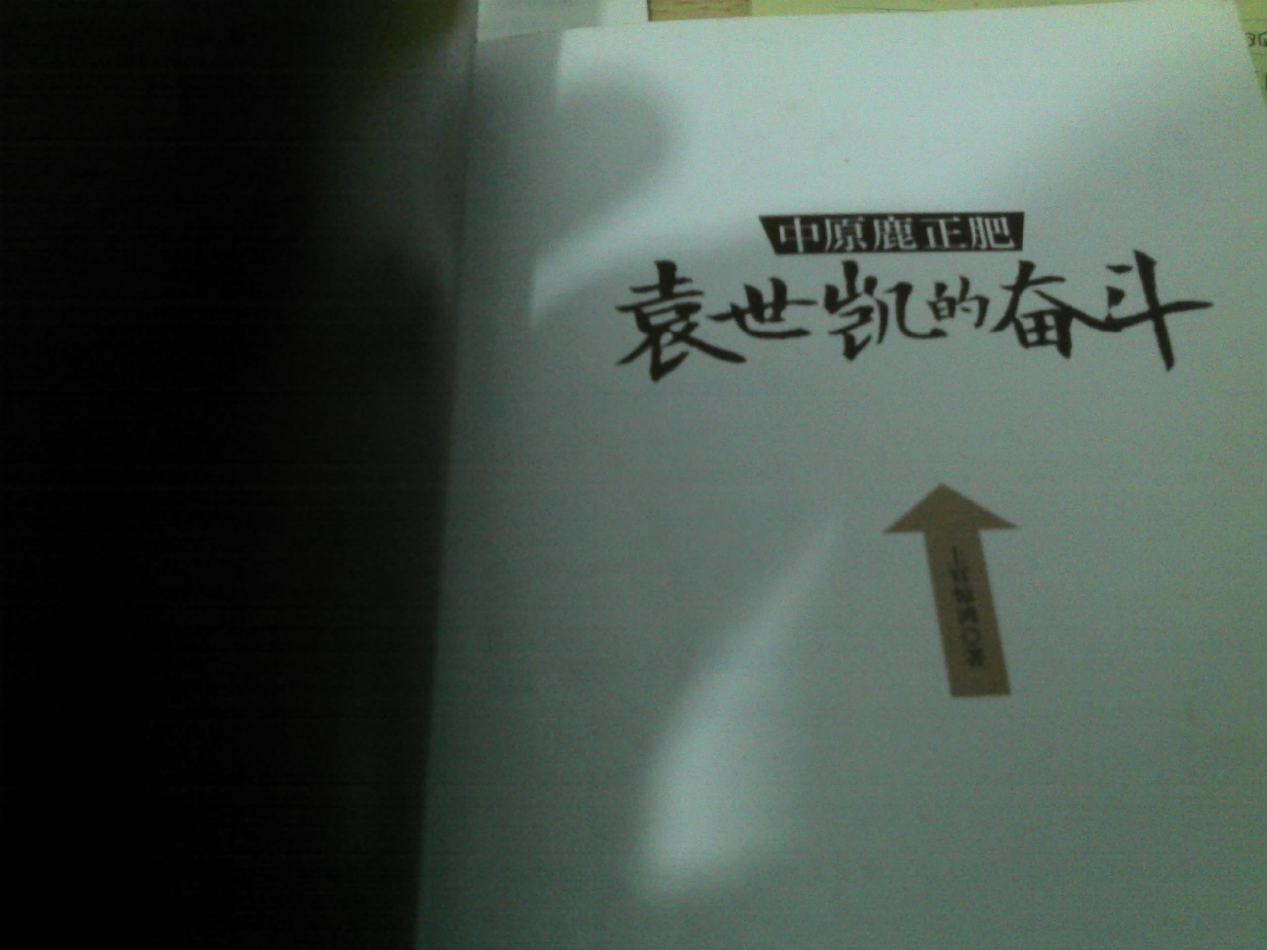 中原鹿正肥：袁世凯的奋斗 实拍图