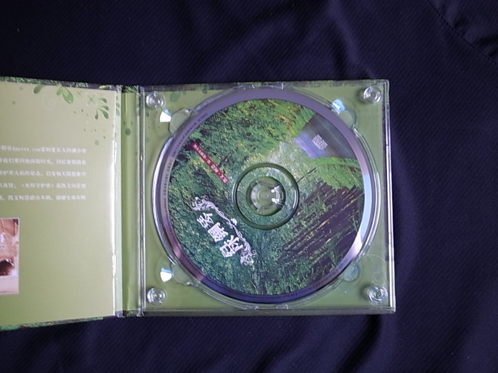 绿钢琴：凯文·柯恩第1张钢琴专辑（CD） 实拍图
