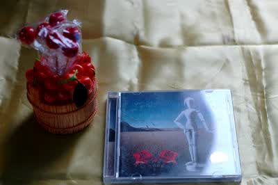 唐朝乐队：浪漫骑士（CD） 实拍图