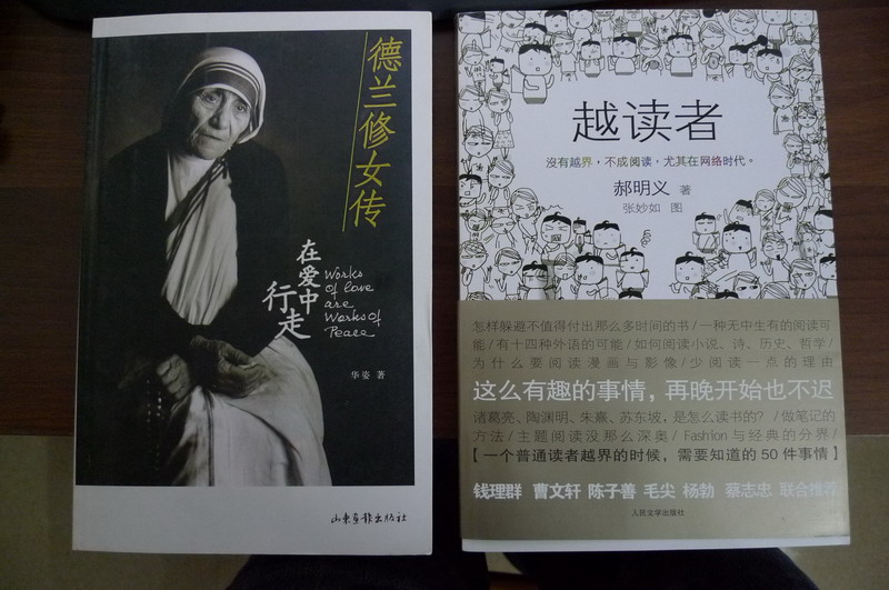 德兰修女传（在爱中行走） 实拍图
