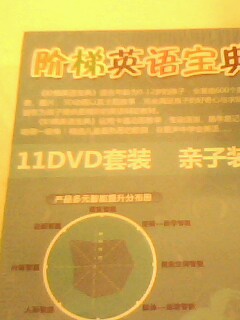 阶梯英语宝典（11DVD+5精美识字画册 套装）（京东专卖） 实拍图