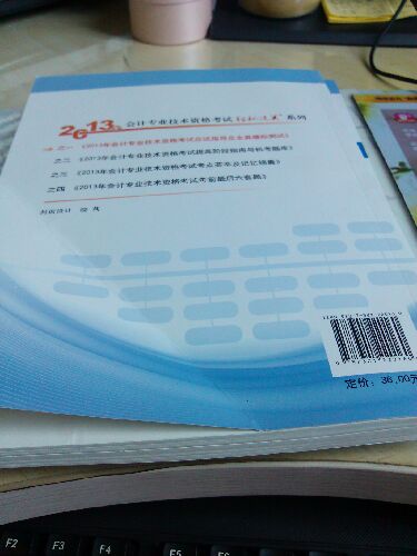 轻松过关（1）·2013年会计专业技术资格考试应试指导及全真模拟测试：初级会计实务 实拍图