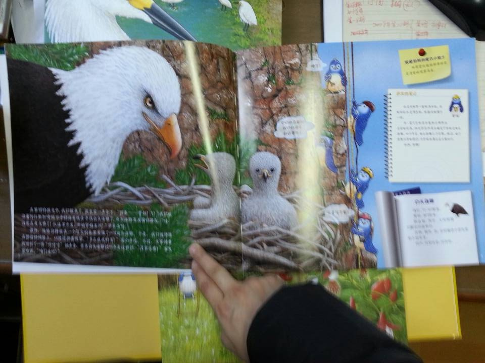 美国金牌科普系列（观鸟之旅、美国国家地理）（京东套装全2册） 实拍图