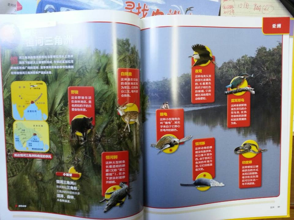 美国金牌科普系列（观鸟之旅、美国国家地理）（京东套装全2册） 实拍图