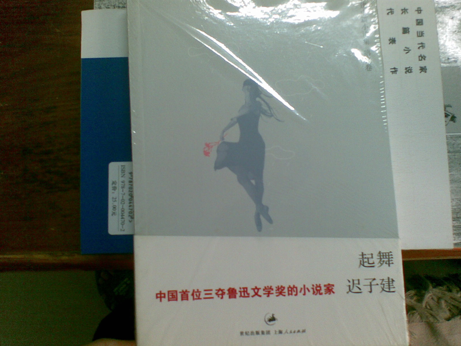 迟子建中篇小说集5：起舞 实拍图