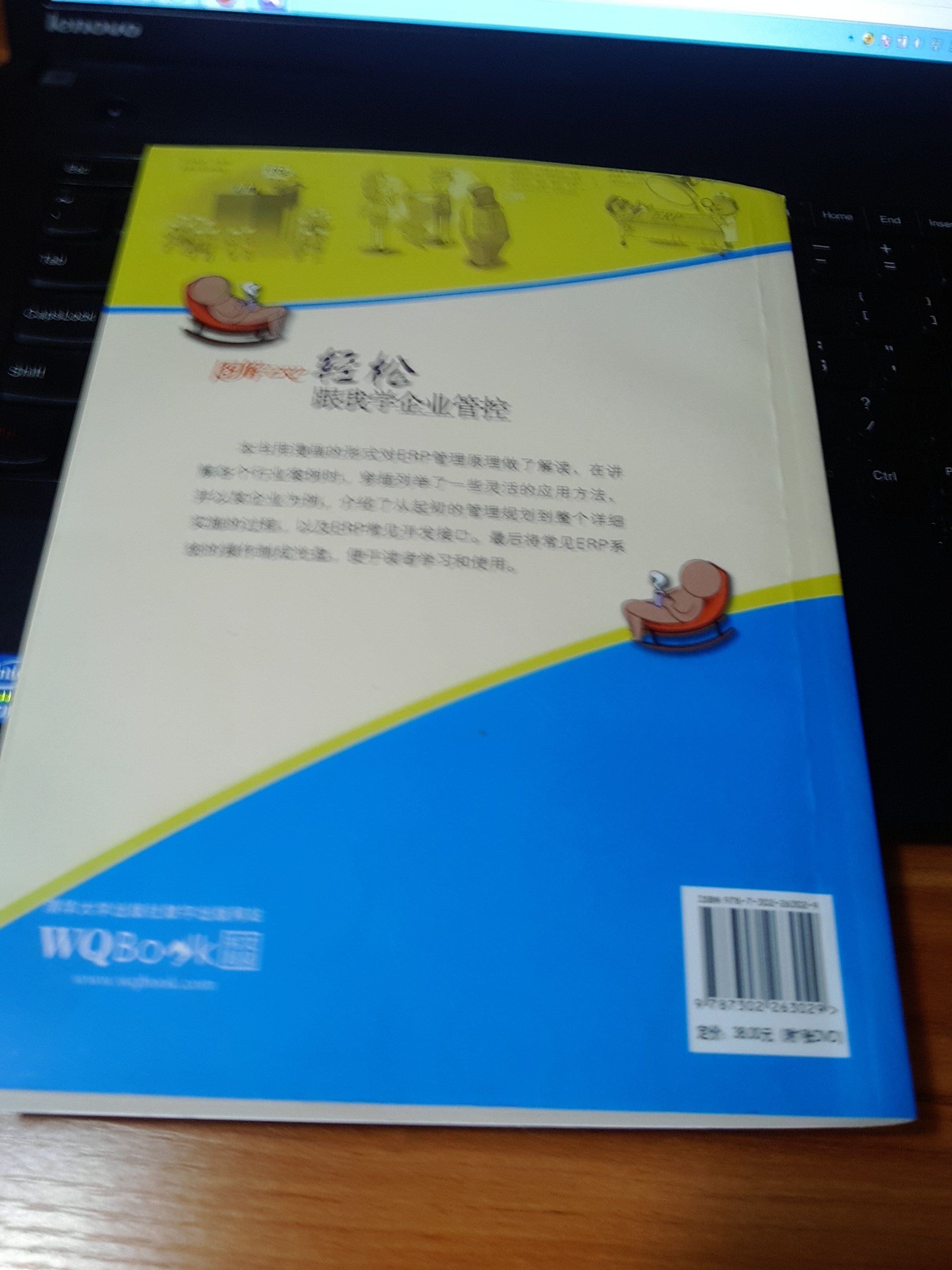 图解ERP：轻松跟我学企业管控（附DVD-ROM光盘1张） 实拍图