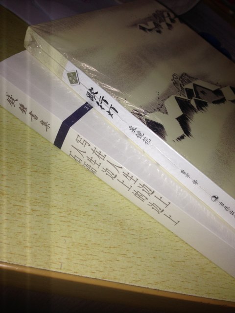 国家司法考试攻略：刑法攻略（第5版）（讲义卷+真题卷2卷本） 实拍图