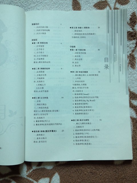 民谣吉他经典教程（步入吉他殿堂） 实拍图