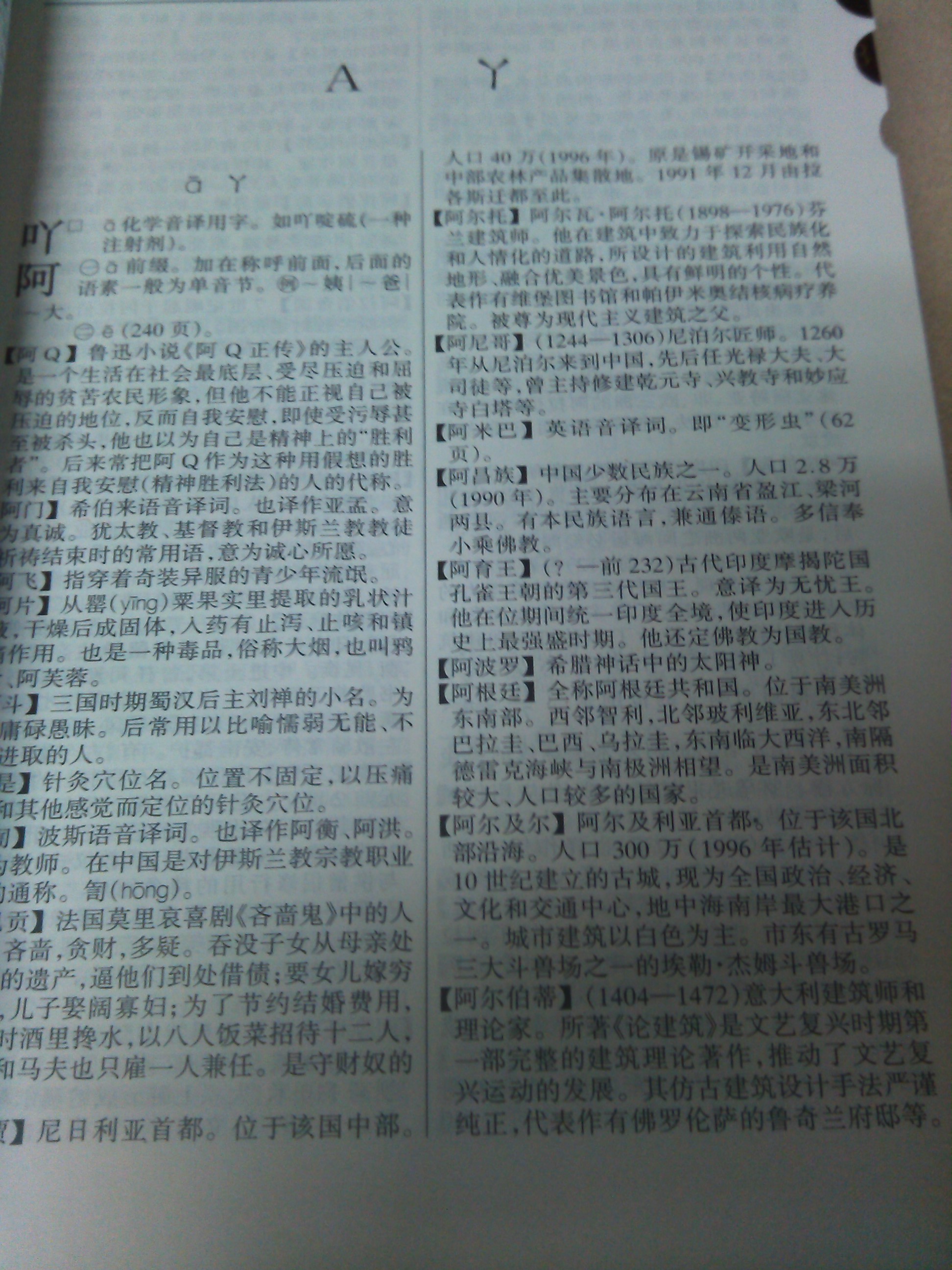 新华词典（2001年修订版）（大字本） 实拍图