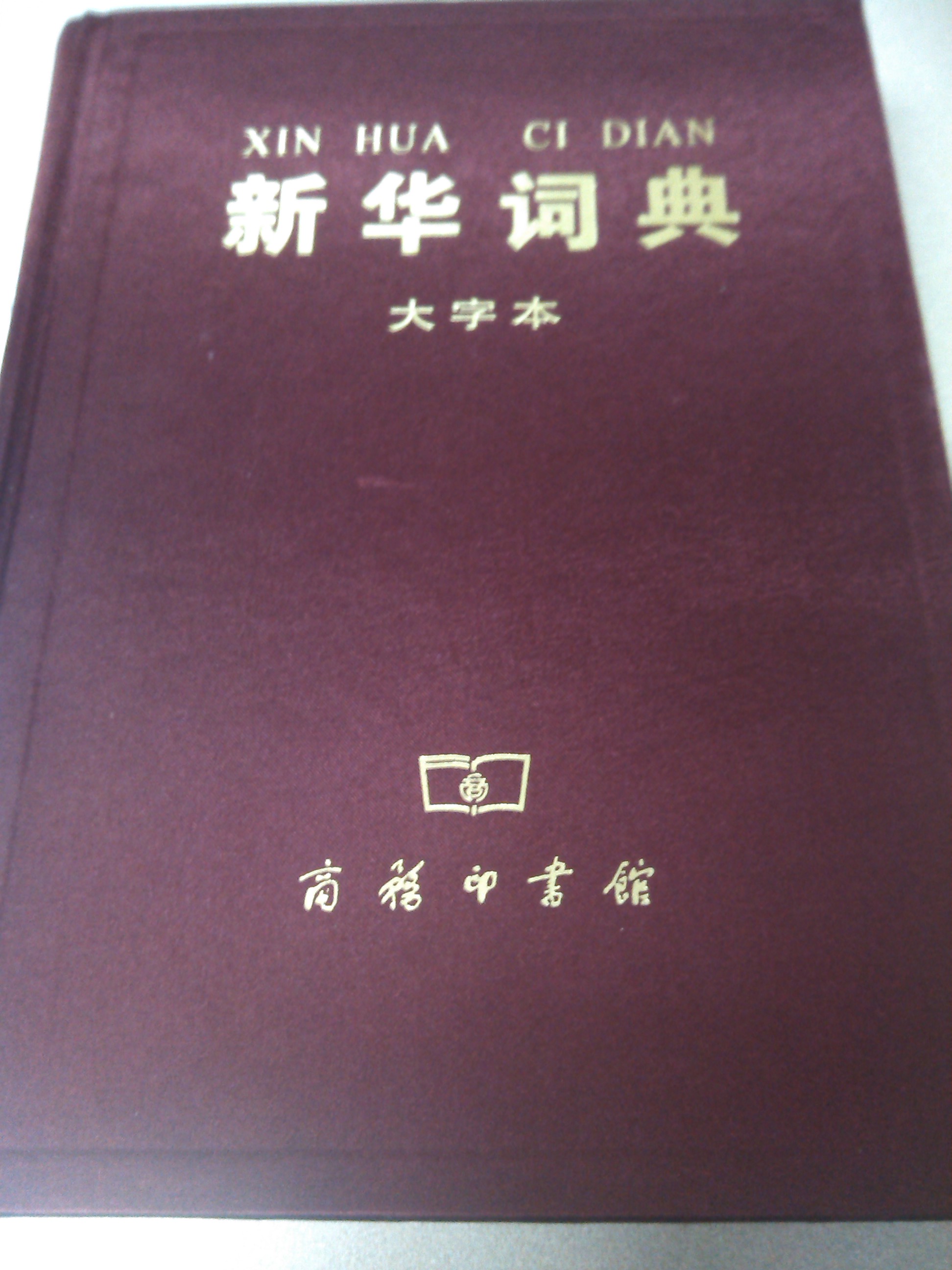 新华词典（2001年修订版）（大字本） 实拍图