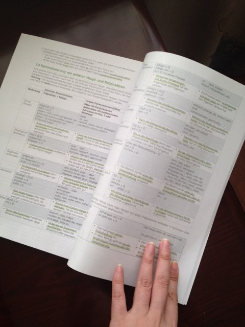 走遍德国 中级1 教师手册B2 实拍图