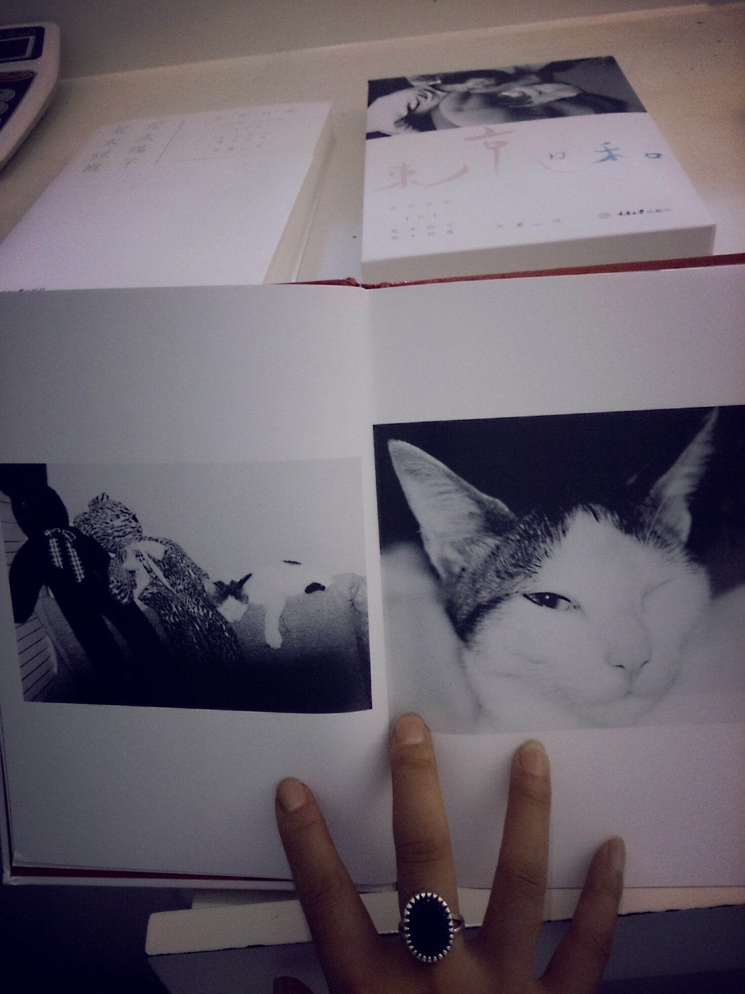 非常喜欢，非常爱啊。书本的纸张品质特别好，印刷也棒。没有什么文字，图片说明了一切，满满的都是爱。　★ 这是荒木经惟第一本关于动物的摄影集。透过132幅关于小猫奇洛的黑白照片、4篇共计不足三千字的手记，讲述小猫奇洛的生活点滴，镜头背后是这位摄影大师内心深处对爱猫、亡妻以至整个世界无边的温柔、爱与思念。　　★ 日积月累的生活，使人与动物之间的情谊变得亲昵而不可分离。所有爱猫人士都能感受这一点，荒木对奇洛亦是如此。　　★ 荒木原本是讨厌猫的，奇洛是荒木妻子阳子抱养回来的流浪猫。在与阳子最后的相处时光里，还有小猫奇洛陪伴荒木一起度过。荒木对奇洛的爱，就像他对阳子那样，炽热、毫无保留，爱它如同爱生命。　　★ 森山大道曾说他像狗一样每日独行街头，排泄似的拍照；荒木却更偏爱留在和阳子共同生活的爱巢，珍惜着与奇洛的每一刻相处，并用“奇能35~80”（奇洛专用照相机）细腻温柔地捕捉着它的每一个鲜活瞬间。　　★ 直到阳子逝世，这本小猫奇洛的影集一直伴随着她；后来奇洛也离荒木而去，他终于孑然一身，却至少还有这些留住时光的影像，陪他走过这些孤独年岁，点缀出微弱温暖的光。　　★ 我太爱奇洛了，爱到尽量不去想象。　　……　　我特别留意奇洛偶尔蓦然凝望阳台景致的时刻——也许是某种醒悟，或是不断地思考、观望、聆听、望向天际等等，就这样静止不动地看着外头。这种背影完全征服了我，其中似乎包含着人生的无奈，向我诉说着许多故事。　　——荒木经惟