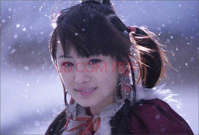 神雕侠侣（41集）（15DVD9） 实拍图