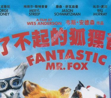 了不起的狐狸爸爸（DVD）（特价促销） 实拍图