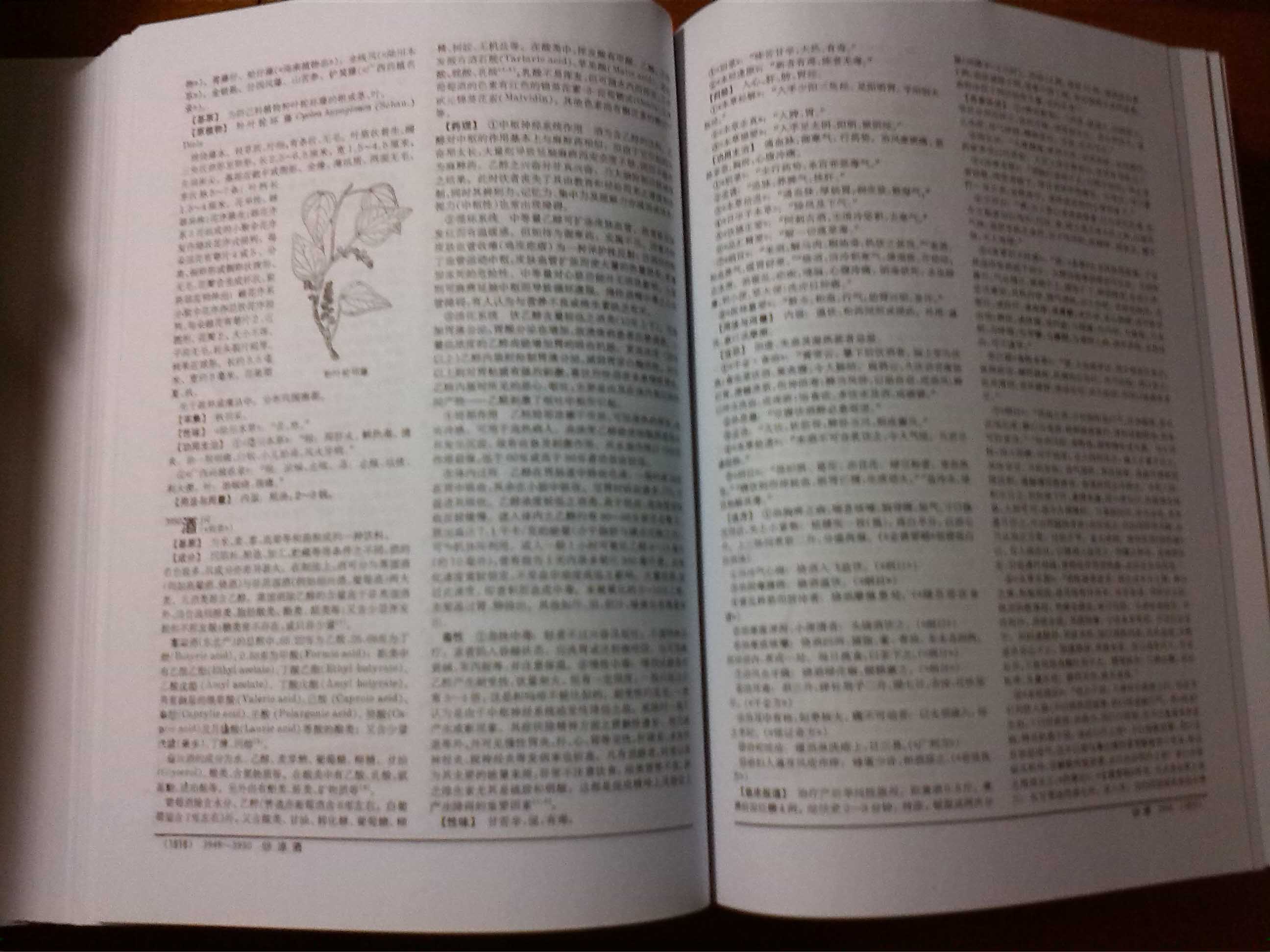 中药大辞典（缩印本）（下） 实拍图
