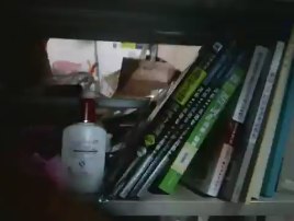 星火英语·BEC高分快训：真题详解+全真预测（高级 2014 附光盘） 实拍图