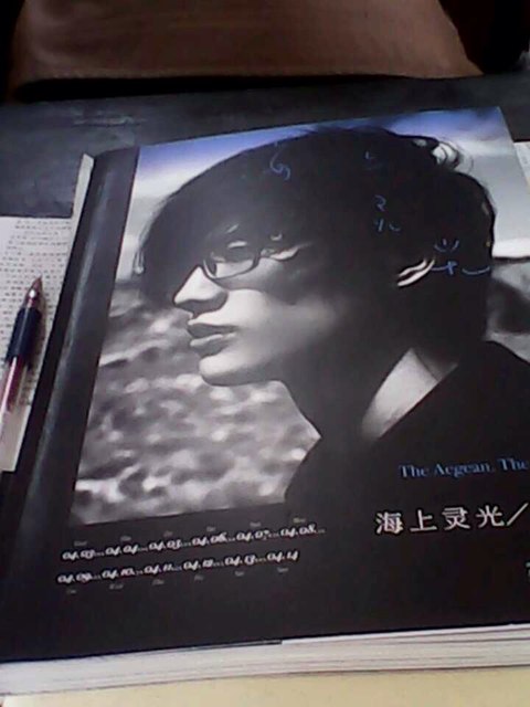 海上灵光 实拍图