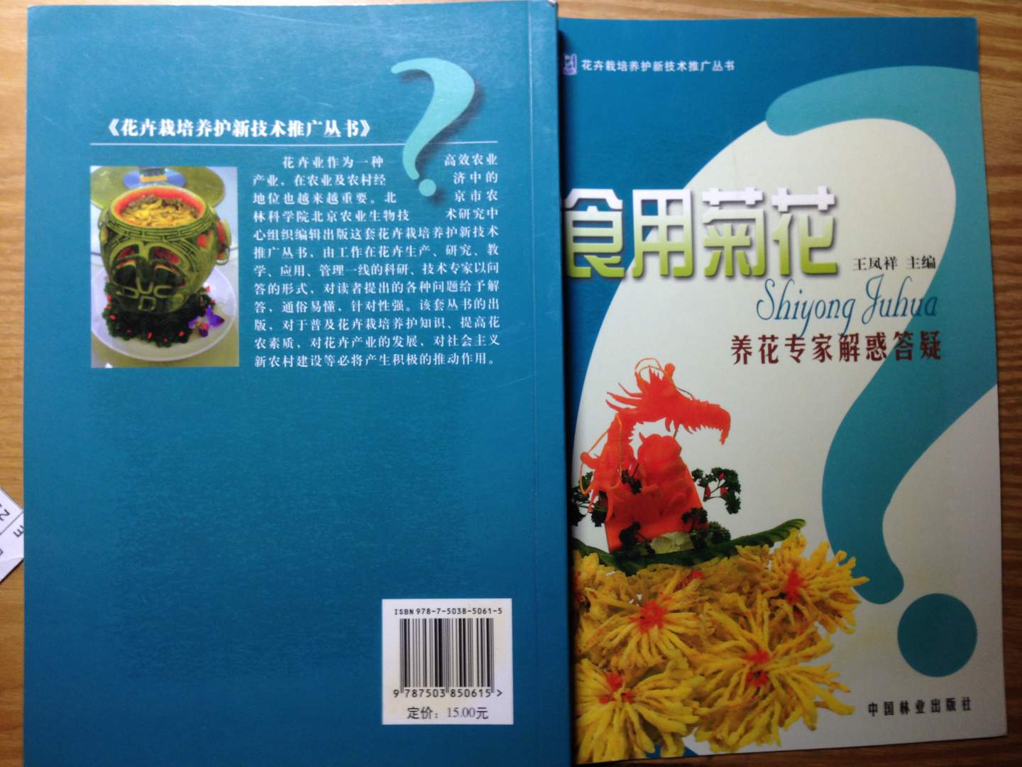 食用菊花养花专家解惑答疑 晒单实拍图